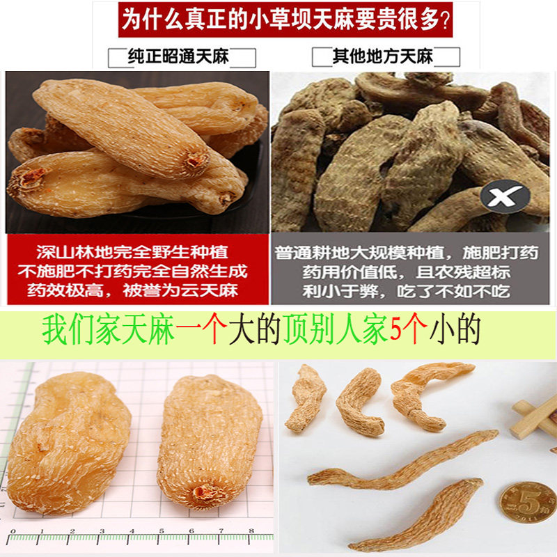 六掌柜250g云南昭通小草坝天然天麻 六掌柜天麻