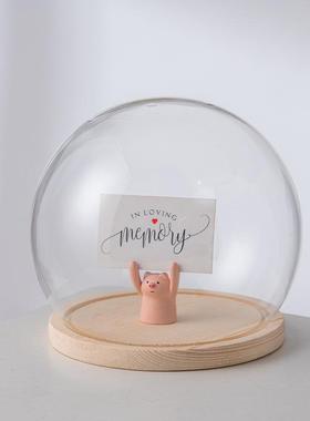 高品质永生花玻璃罩玫瑰花束积木干花人偶手办应援棒防尘展示盒桌