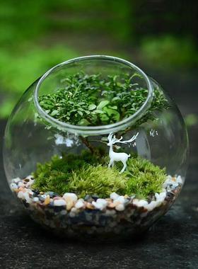 多肉土营养土铺面石珍珠岩颗粒火山岩绿沸石麦饭石陶粒赤玉土蛭石