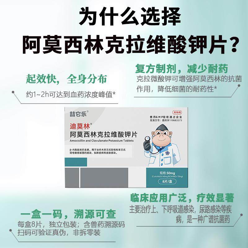宠物狗狗猫咪猫感冒鼻支膀胱炎感染伤口消炎药口炎咳嗽阿莫西林