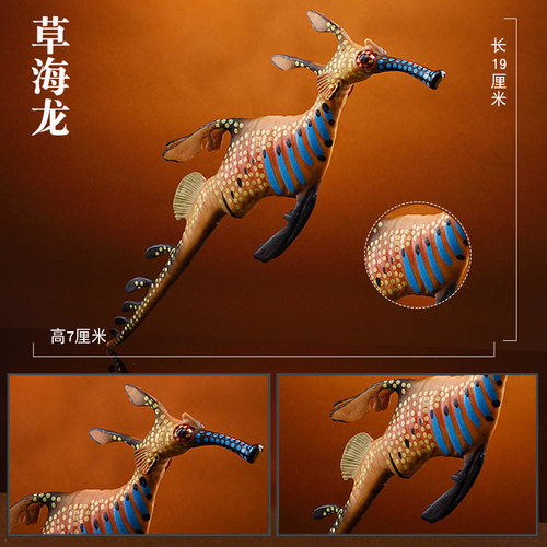 林畅模玩草海龙马儿童玩具深海仿真动物模型史前海洋生物远古巨兽 - 图0
