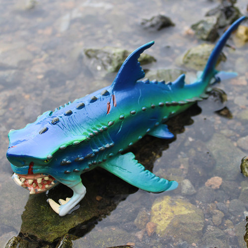 深海海洋生物远古含肺鱼模型儿童仿真动物玩具怪物鱼史前巨兽男孩 - 图2