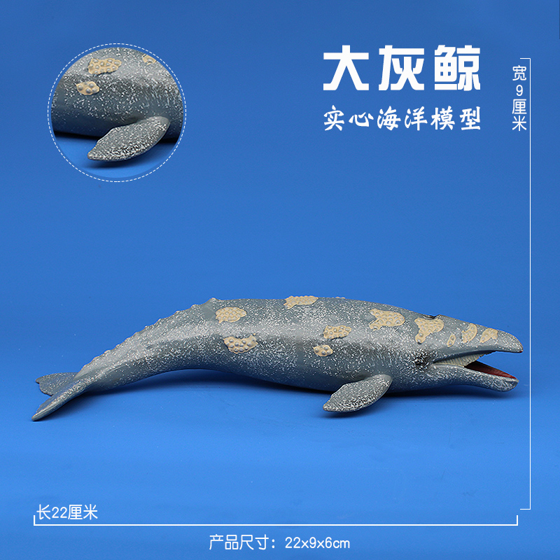 林畅海洋世界仿真动物大号鲸鱼鲨鱼模型灰鲸套装海底生物儿童玩具 - 图0