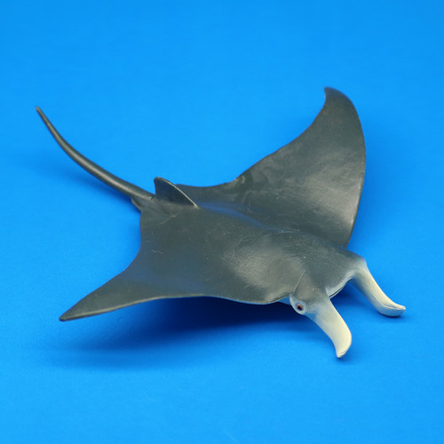 林畅模玩海洋鱼类玩具蝠鲼模型毯魟魔鬼鱼深海底生物儿童仿真动物 - 图2