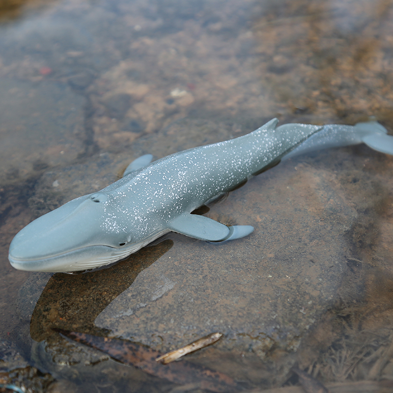 林畅海洋世界生物仿真动物蓝鲸模型大号鲸鱼鲨鱼套装儿童玩具男孩 - 图2