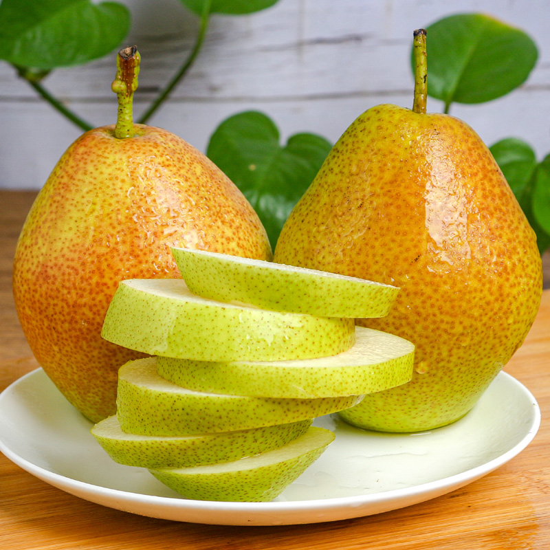 新鲜小香梨孕妇水果大香梨净重4.5斤包邮