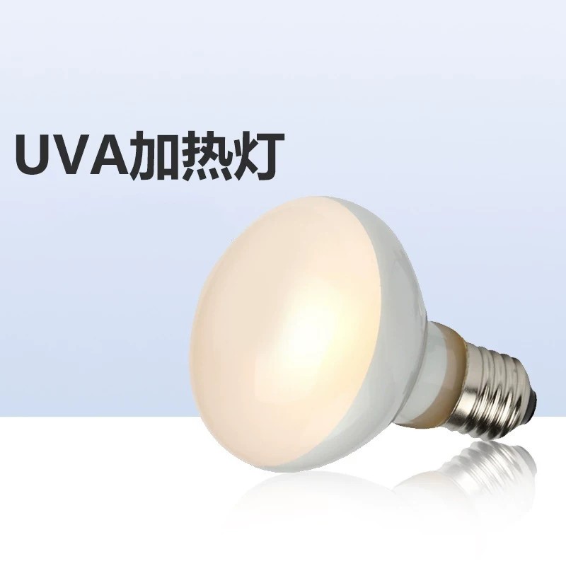 UVA日灯UVB夜灯紫外线补钙灯泡爬虫宠加热鬃狮蜥蜴乌龟保温用品,淘宝优惠券,粉丝福利购,淘宝优惠卷