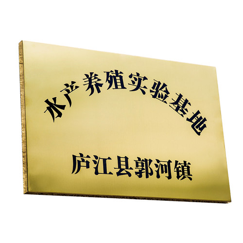 钛金拉丝腐蚀广告牌公司企业铭牌牌匾厂牌门头招牌铜牌定做定制 - 图0