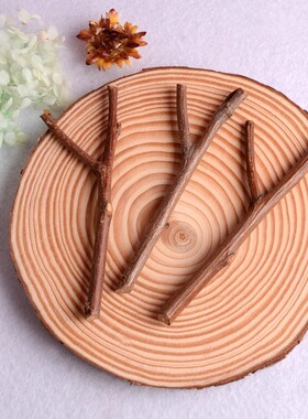 幼儿园树枝装饰小树杈干树枝diy手工森系挂饰结构材料环创装饰品