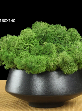 新中式风设计师款陶瓷小绿植摆件