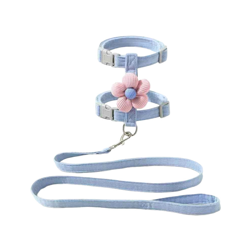 小猫牵引绳猫咪专用防挣脱两个月幼猫绳夏季户外高颜值项圈可调节,淘宝优惠券,粉丝福利购,淘宝优惠卷