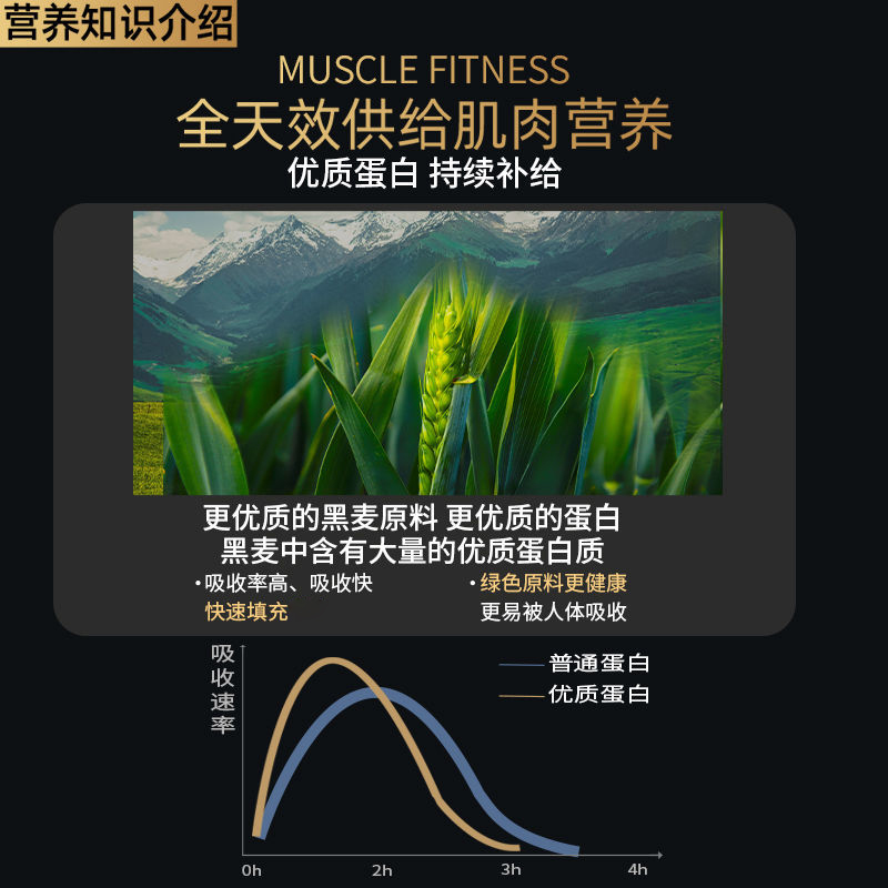 全麦面包健身非增肌非增重营养早餐加餐0低脂粗粮代餐饱腹零食品 - 图3