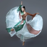 Сон шокирующая танцевальная служба для взрослых практикующих наполовину -кузов юбка для марли.