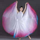 Классическая спортивная одежда, двухцветная танцующая длинная юбка, китайский стиль, широкая цветовая палитра