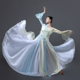 Сон шокирующая танцевальная служба для взрослых практикующих наполовину -кузов юбка для марли.