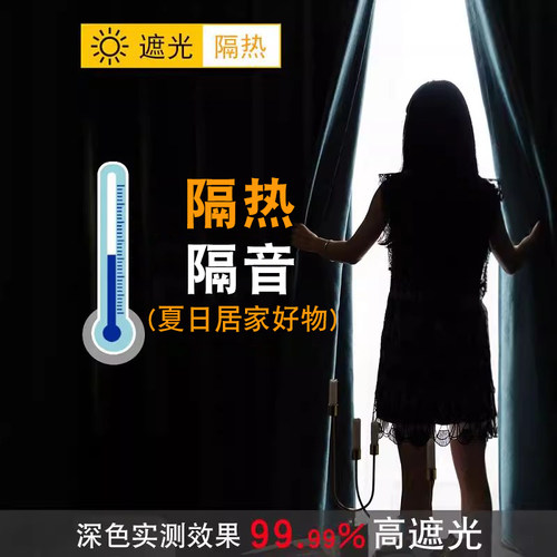 2026全遮光加厚隔音隔热窗帘布客厅卧室防晒遮阳现代简约成品窗帘 - 图0
