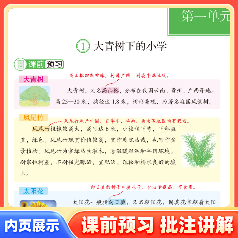 2025新版课堂笔记黄冈学霸笔记一二三四五六年级上下册语文数学英语人教北师苏教版同步课本专项练习册小学课文教材全解读随堂笔记