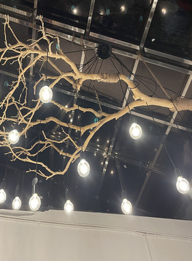 干树枝造景原木装饰树干枯枝室内天花板挂灯插花挂件舞台摆件
