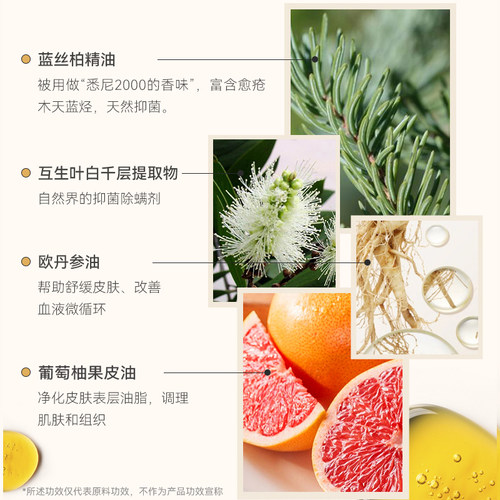 amopetric阿默宠物蓝丝柏宠物猫狗免洗手套清洁湿巾干洗除臭3盒装 - 图1