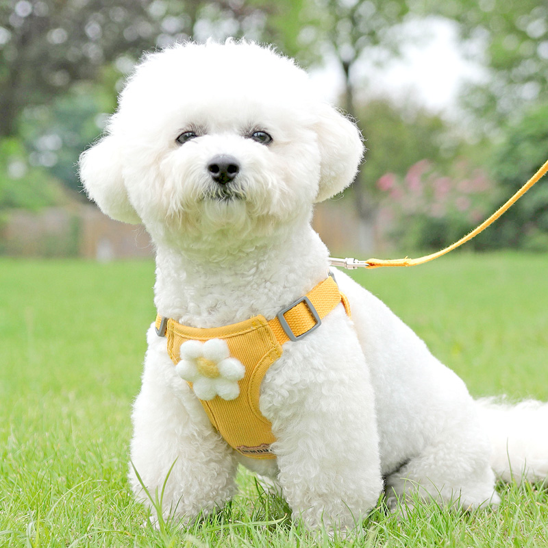 狗狗牵引绳背心式小型犬泰迪比熊博美遛狗绳小狗幼犬胸背带狗绳子 - 图0