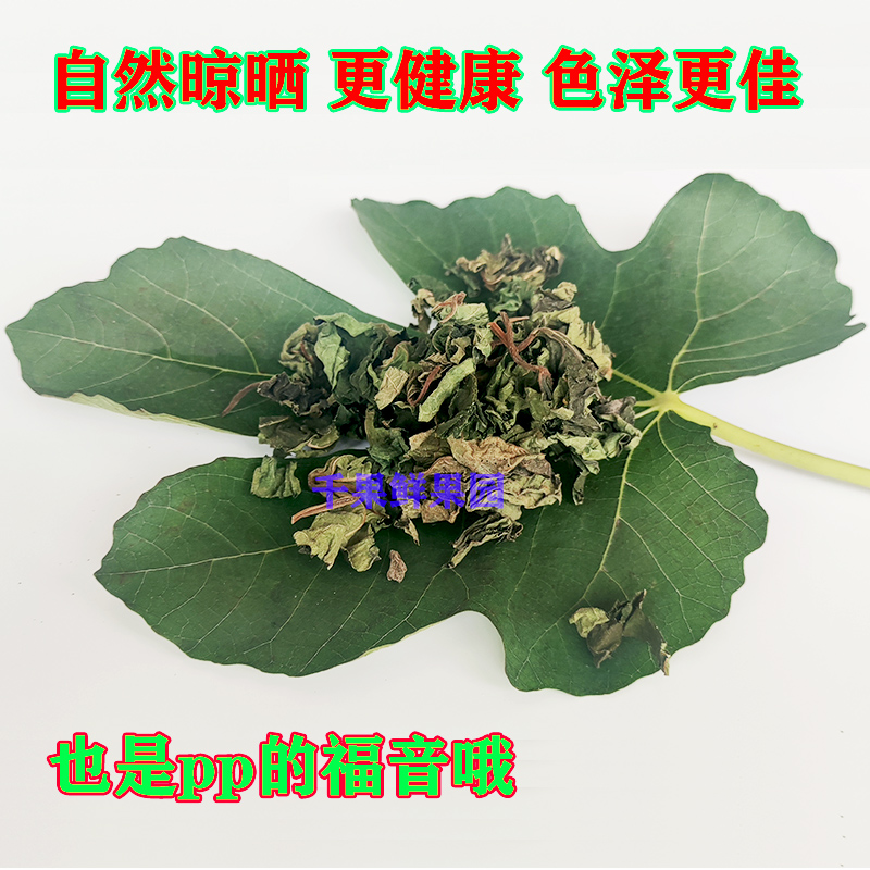 新鲜无花果干叶子自然晾晒泡茶煮水坐浴-图0