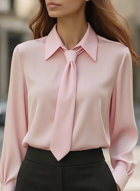 Women's Elegant Dressy Satin Work Shirt Plain Modern Casual