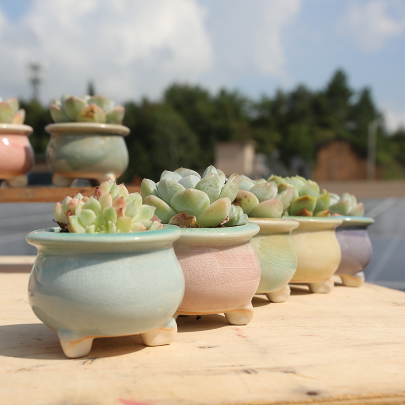 新款多肉花盆陶瓷冰裂流釉创意个性渐变色带脚透气小群生桌面花器 - 图0
