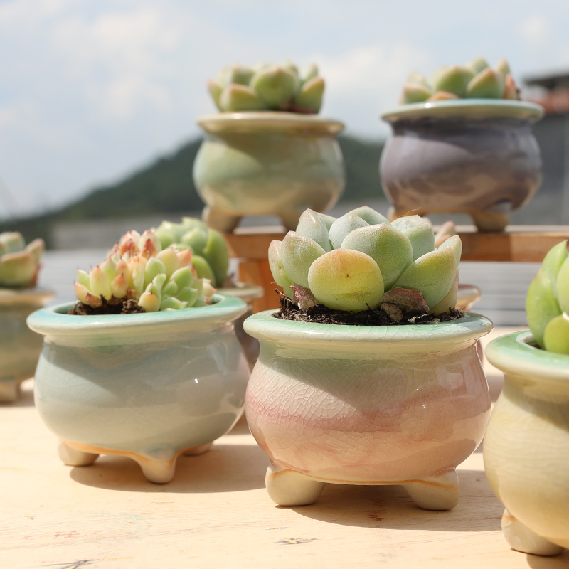 新款多肉花盆陶瓷冰裂流釉创意个性渐变色带脚透气小群生桌面花器 - 图1