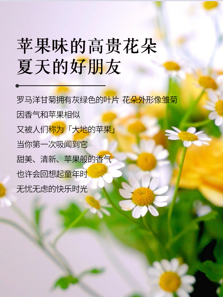 罗马洋甘菊纯露法国有机植物爽肤水 小尼芳香纯露/花水