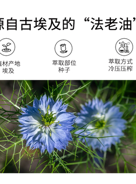 小尼芳香养发润发黑种草籽油精油