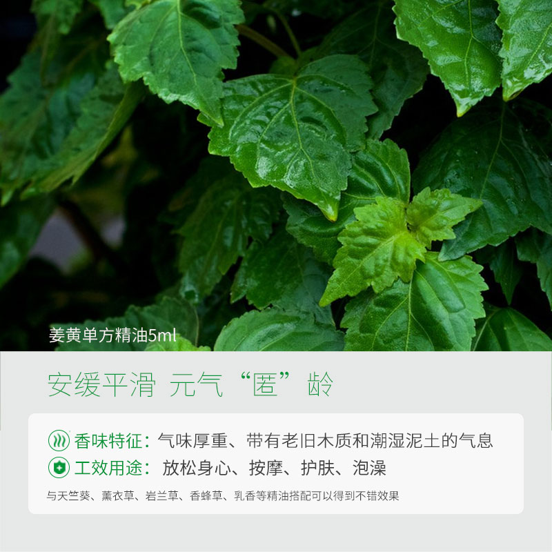 AROMATHERAPY/小尼芳香广藿香单方精油香薰豆肌养肤豆印植物按摩