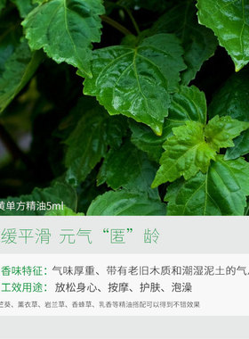 AROMATHERAPY/小尼芳香广藿香单方精油香薰豆肌养肤豆印植物按摩