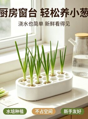 【每人限购一单！】家庭种植盒