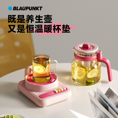德国蓝宝全玻璃养生壶办公室小型花茶壶家用多功能纯玻璃烧水壶
