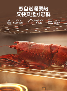 蓝宝双发热盘御膳蒸锅