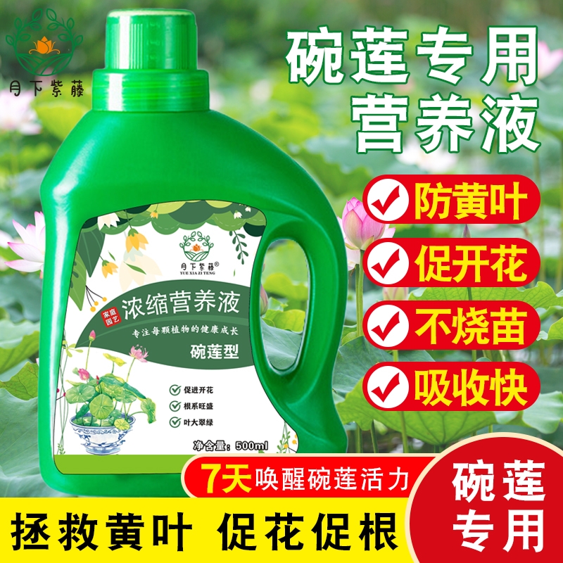 碗莲肥料碗莲营养液睡莲专用营养液促进开花的肥料水培荷花专用肥-图2