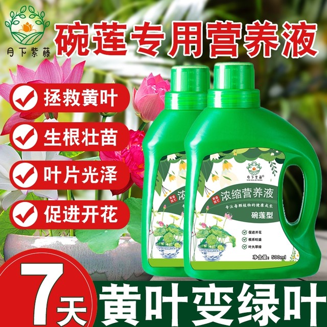 Bowl lotus fertilizer Bowl lotus nutrient solution Water lily special nutrient solution fertilizer to promote flowering Hydroponic lotus special fertilizer