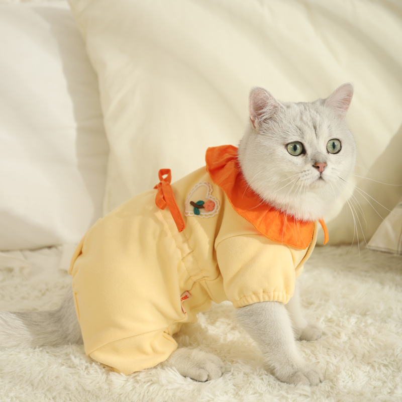 猫咪衣服冬季保暖宠物猫猫小猫幼猫银渐层秋季四脚防掉毛睡衣秋装-图2