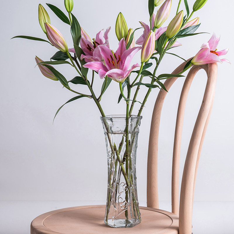 玻璃花瓶透明水养富贵竹百合花客厅插花摆件水竹子专用水培特大号,淘宝优惠券,粉丝福利购,淘宝优惠卷
