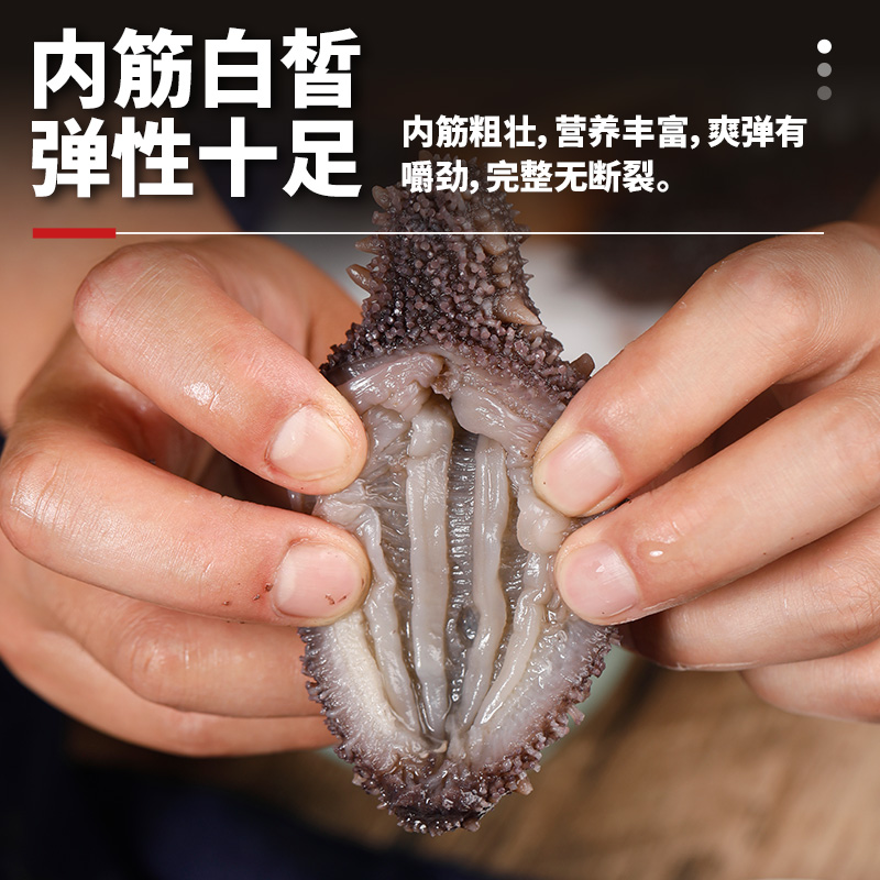 海参即食大连海参500g野生鲜活海生辽刺参官方旗舰店礼盒速食特价 - 图2