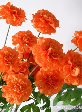 仿真花天竺葵 绢布人造花家居酒店婚庆装饰摆件 摄影道具厂家