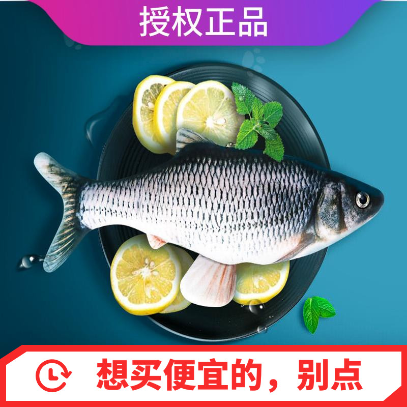 摇摆会跑跳动的儿童玩具红抖音网 风马玩具电动/遥控动物/人物