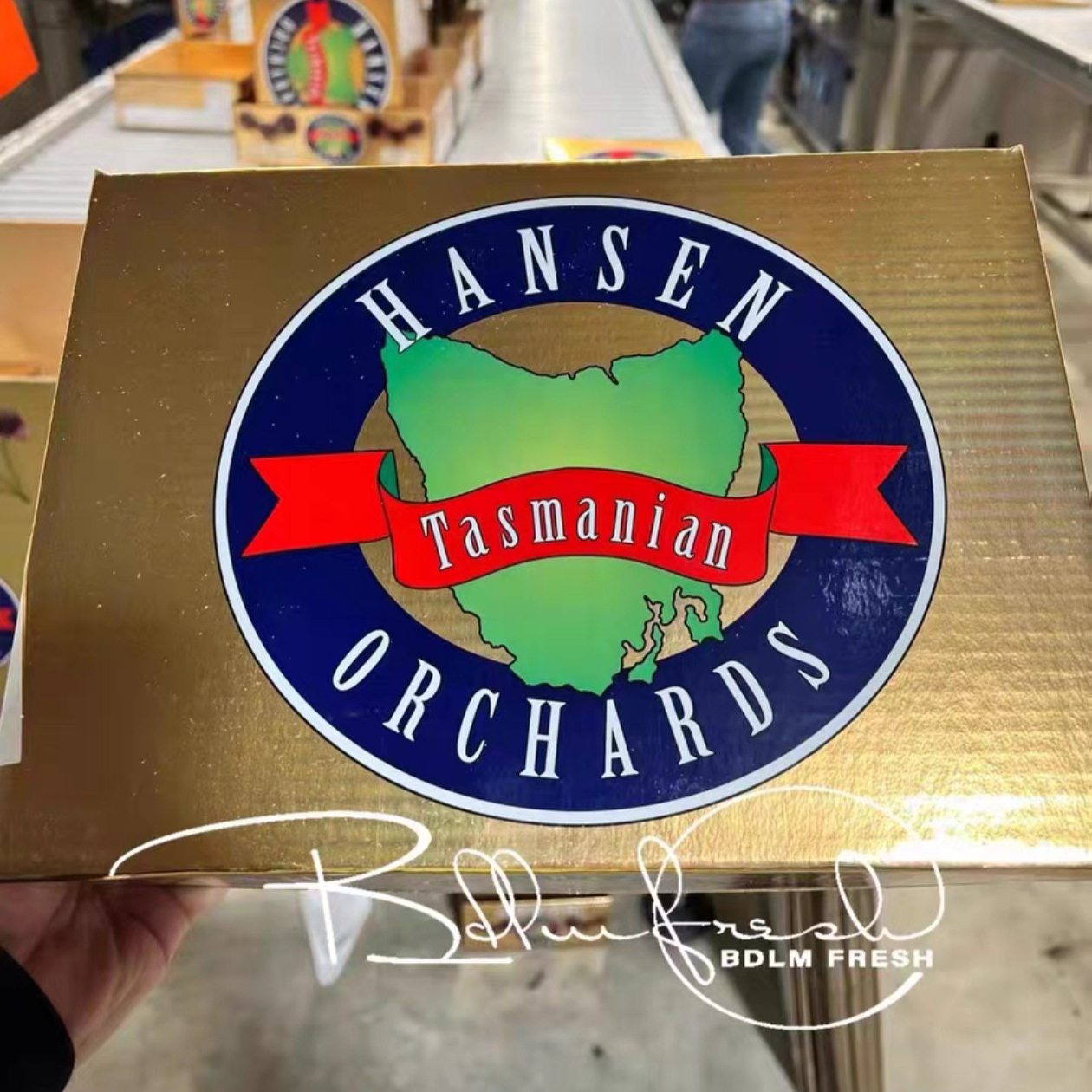 澳洲车厘子塔斯马尼亚REID科迪亚樱桃脆甜樱桃新鲜孕妇水果新西兰,淘宝优惠券,粉丝福利购,淘宝优惠卷