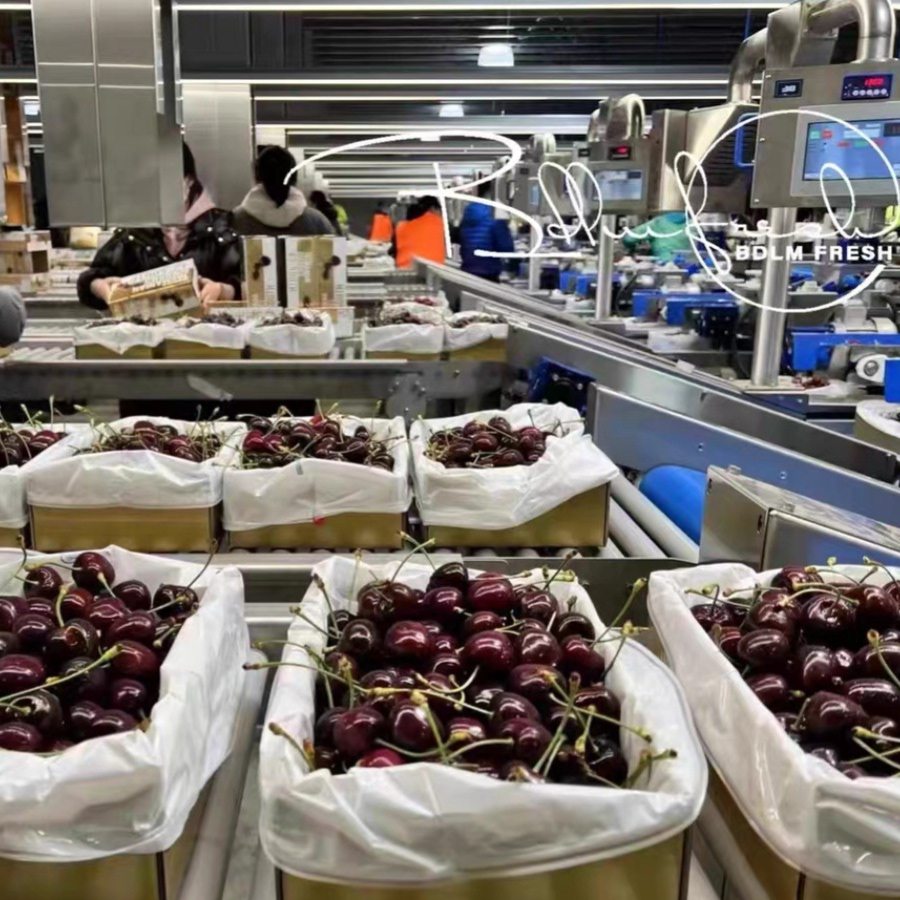 澳洲车厘子塔斯马尼亚REID科迪亚樱桃脆甜樱桃新鲜孕妇水果新西兰,淘宝优惠券,粉丝福利购,淘宝优惠卷