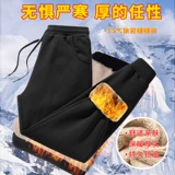 崼瑁ょ 崼瑁ょ 鍐 瀬   婄 ￥ ￥ ￥ 愮 愮 愮 彛 闀 ￥ ￥ ￥ 瀹 ￥ ￥ ￥ ╃ ╃ 浼 棽 瑁ょ 瑁ょ 瑁ょ 瑁ょ 瑁ょ 瑁ょ