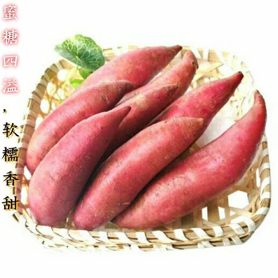 【产地现挖】巴马长寿村红心蜜薯 新鲜沙地瓜山芋,淘宝优惠券,粉丝福利购,淘宝优惠卷