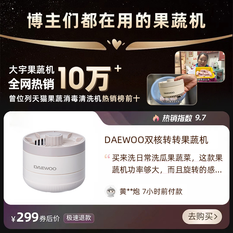 DAEWOO/大宇双核转转果蔬清洗机除农残洗菜机食材净化器洗菜神器