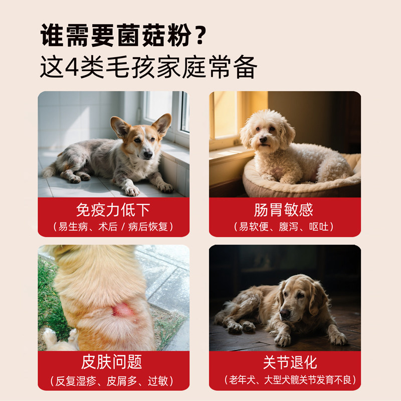 苓丰记 永生狗复刻版菌菇粉狗狗长寿蘑菇粉汤小狗老年犬营养零食,淘宝优惠券,粉丝福利购,淘宝优惠卷