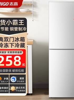 志高冰箱家用小型双开门