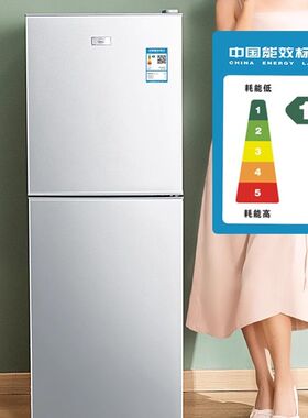 一级能效速冻保鲜双门电